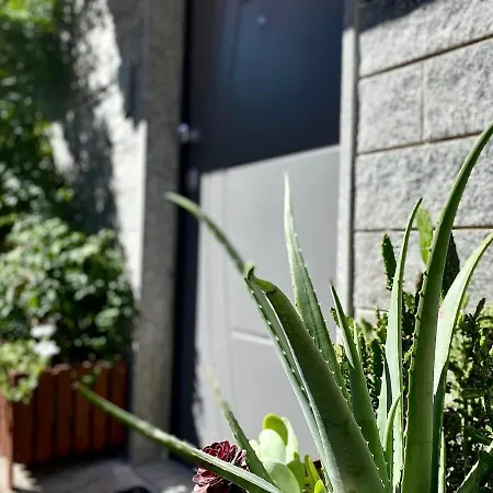 Turin Apartment *
